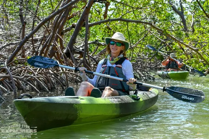 Mangrove Tunnels & Mudflats Kayak Tour - Local Biologist Guides - Primary Image
