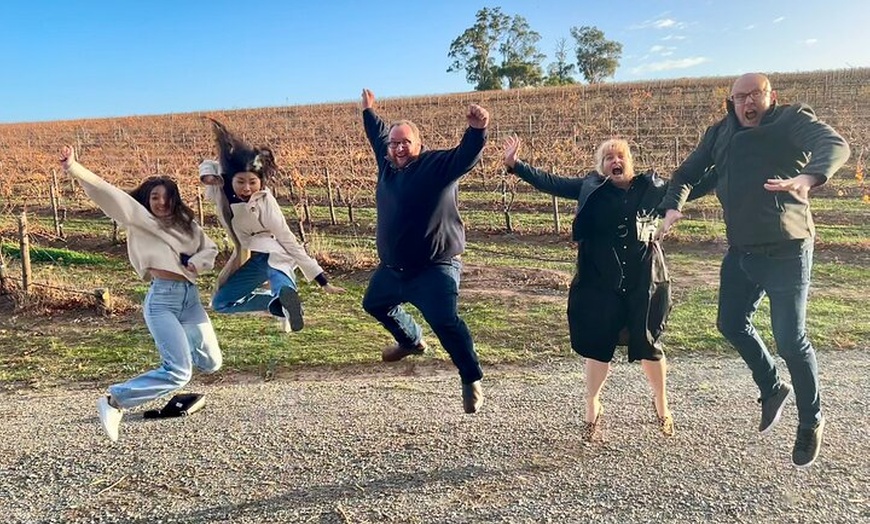 Image 3: McLaren Vale Private Tour inc Premium Lunch & d'Arenberg Cube