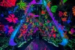 INTER Immersive Space Adventure Ticket - Second Medium