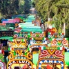 Image 3: The Day of the Dead Private Tour in Mexico City