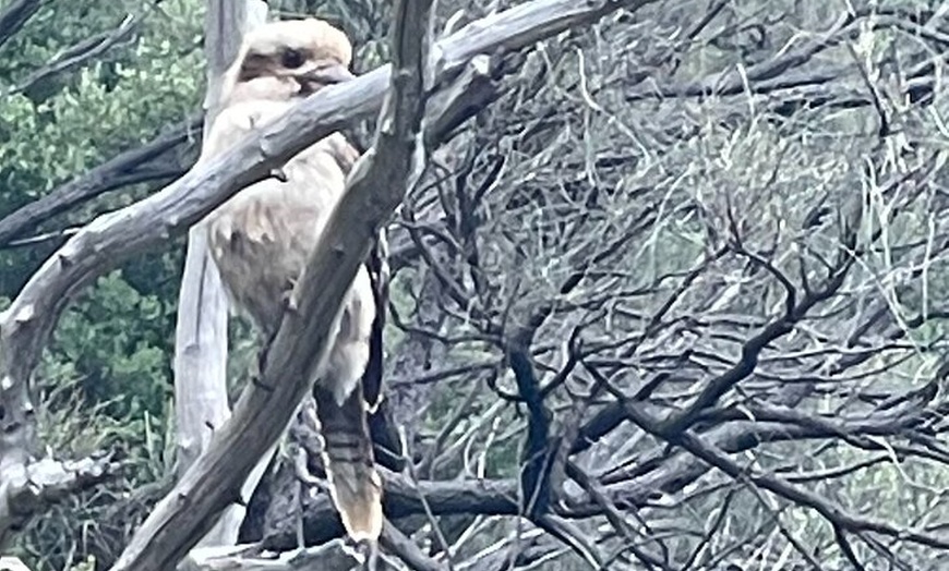 Image 13: Morialta Falls Hike: Trails and Tales with a Foreign Flair