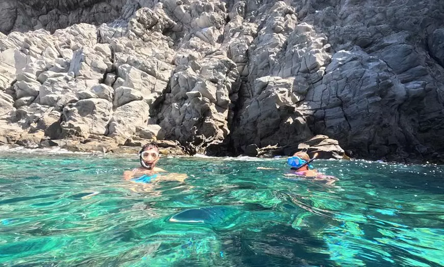 Image 2: Avistamiento de Tortugas y Delfines de Tour de Kayak y Snorkeling
