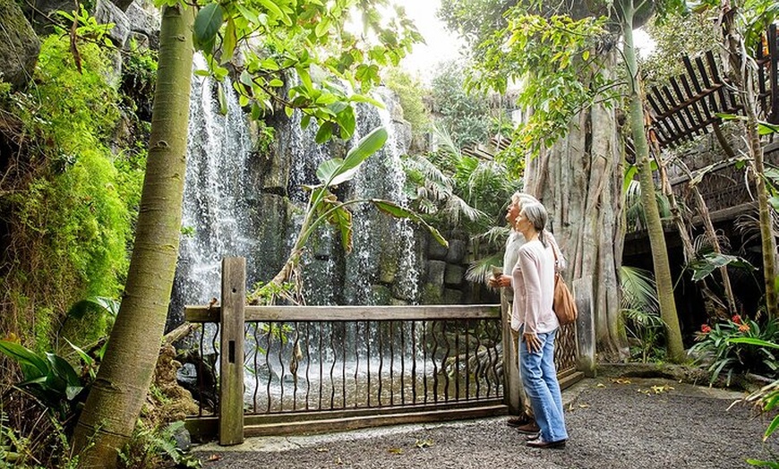 Image 23: Acuario de Palma con autobús de vuelta desde Port Alcudia