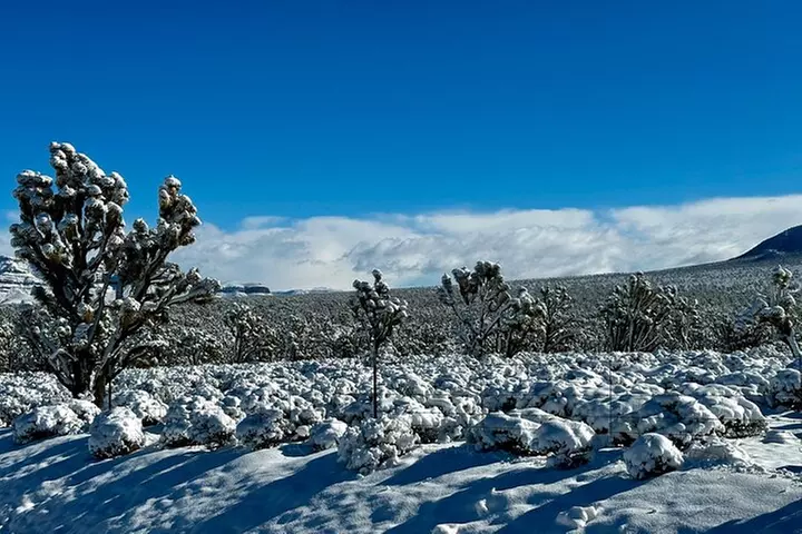 9am Start Small Group Grand Canyon Skywalk & Hoover Dam Tour