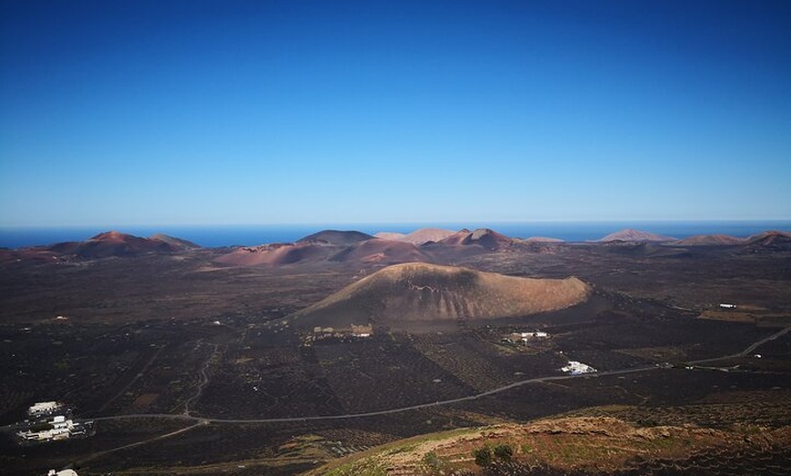 Image 4: Recorrido a pie de medio día para grupos pequeños por los viñedos d...