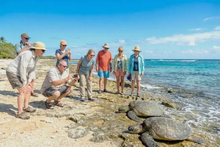 Oahu Private Tour with Mercedes Sprinter & New Luxury Vehicles