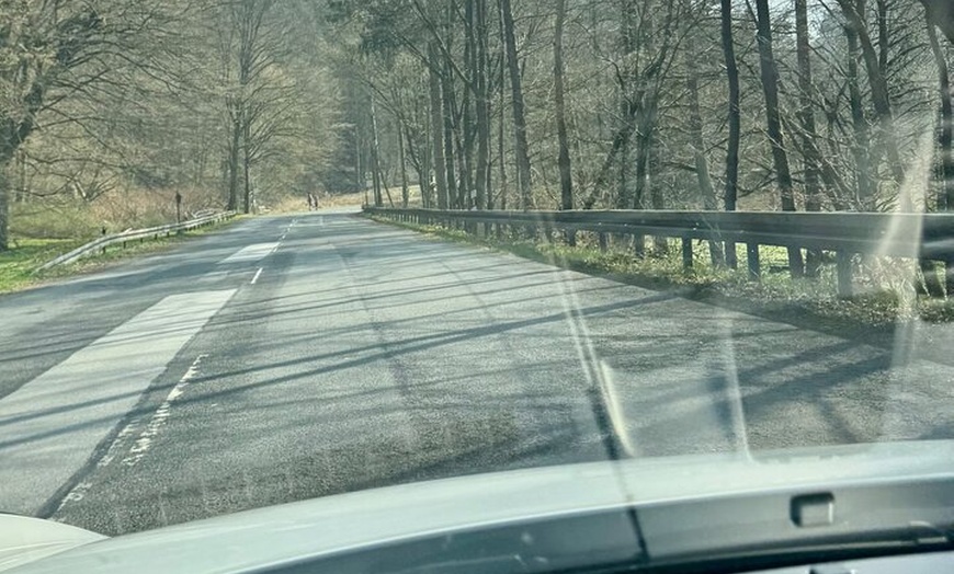 Image 19: Dresden Highlights und Deutschlandring Porsche 911 Erlebnisfahrt