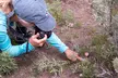 Slough Creek Naturalist Day Hike - Second Medium