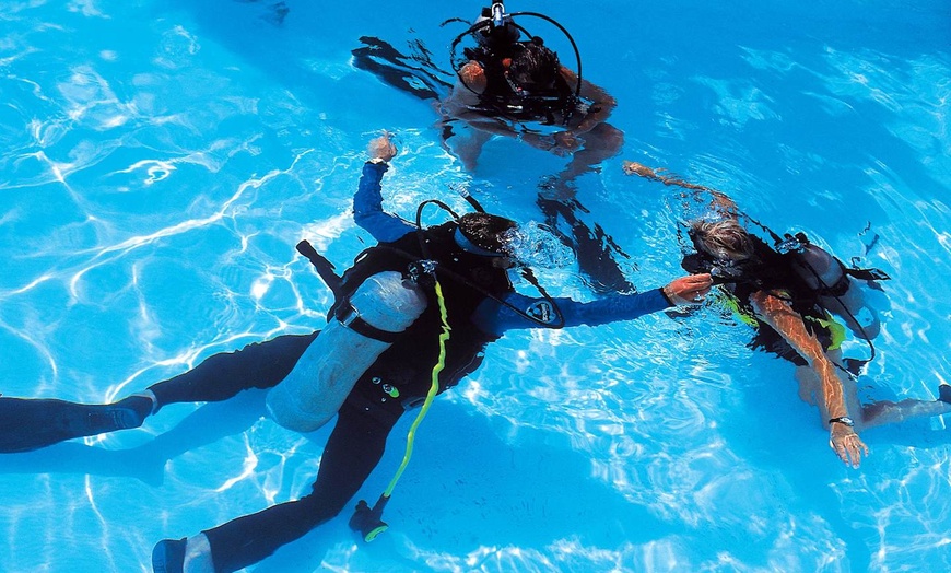 Image 12: ✈ REPUBBLICA DOMINICANA | Punta Cana - Iberostar Selection Bavaro 5...