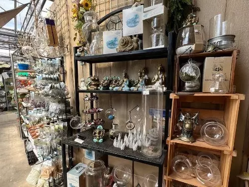$25 For $50 Towards Home & Garden Decor, Flowers & Plants