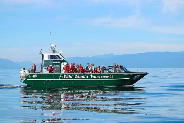 Wild Whale Watching Experience - Open Air Vessel - Primary Image