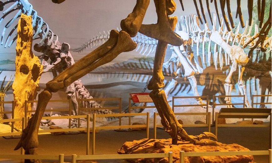 Image 4: Natural History Museum London Guaranteed Free Entry & Audio Tour