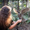 Image 1: Buderim Forest Flight Owl Encounter and Tour