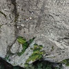 Image 6: Via Ferrata Adventure at 2 Hrs from Mexico City