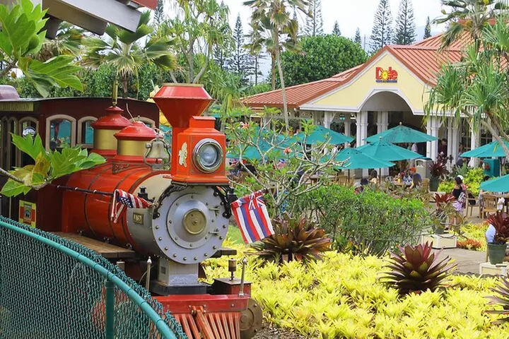 Oahu's Ultimate Tour: Dole, Turtle Snorkel, Pali Lookout & More