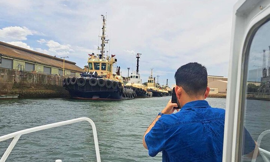 Image 9: 2-Hour Dolphin and Maritime Cruise in Port Adelaide