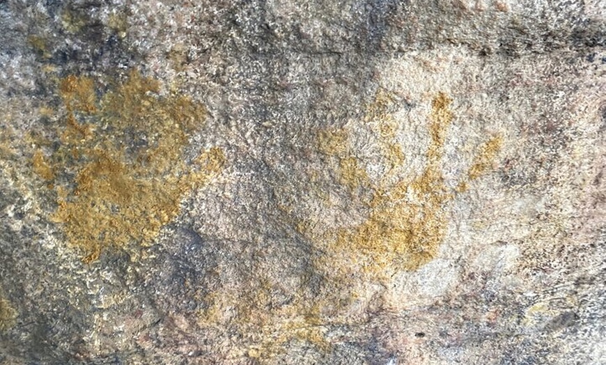 Image 16: Sydney: Ku-ring-gai Chase National Park with Hike, Swim, Picnic