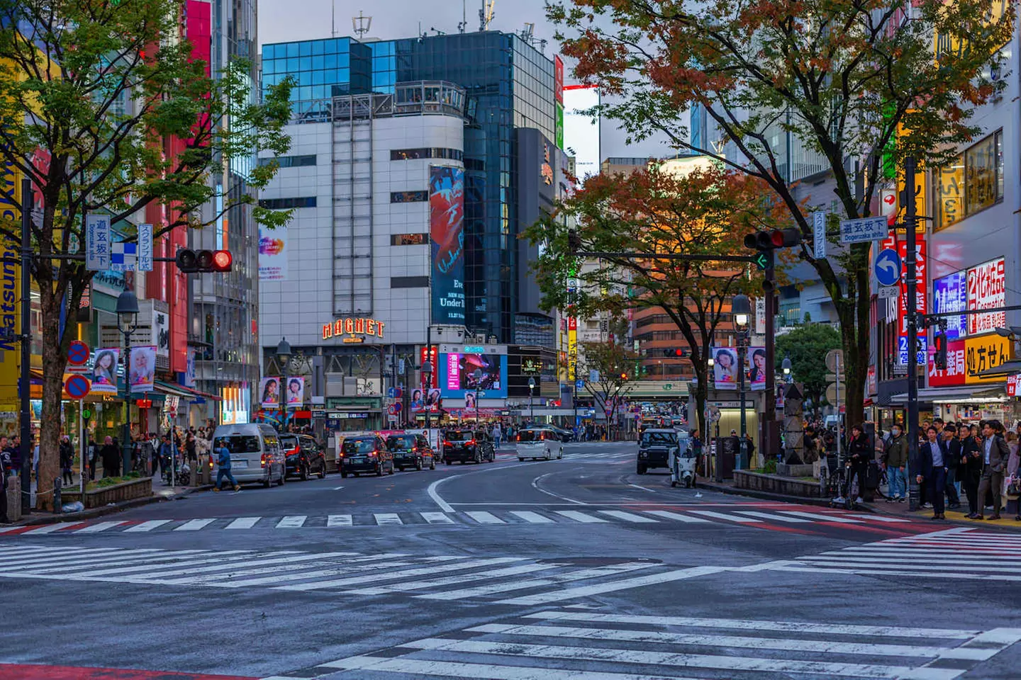 ✈ GIAPPONE | Da Tokyo a Osaka - Paradiso Giapponese: Tokyo, Kyoto, ...