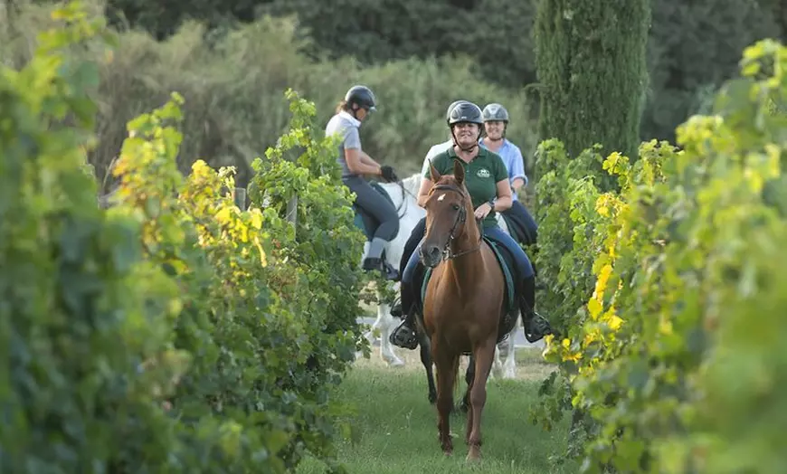 Image 2: A caballo entre viñedos y cata de vinos: Aventura y enoturismo