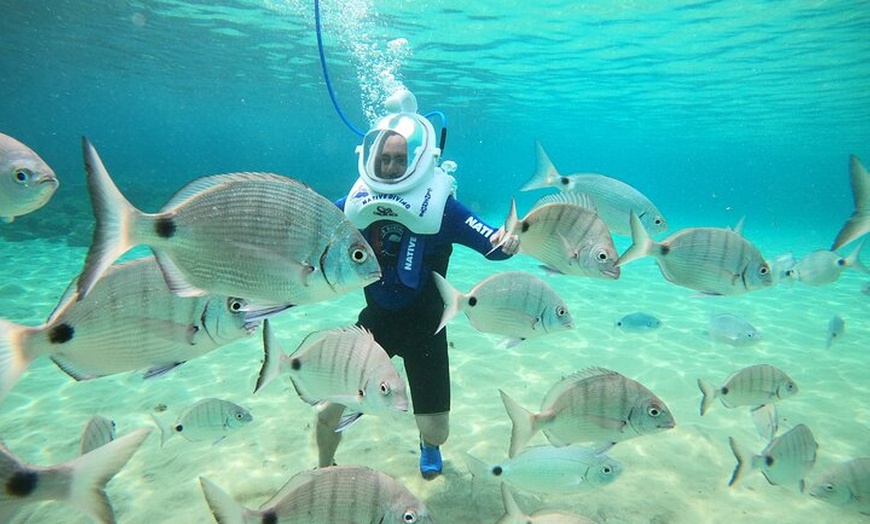 Image 4: Paseo submarino Sea Trek en Tenerife – No se requiere natación