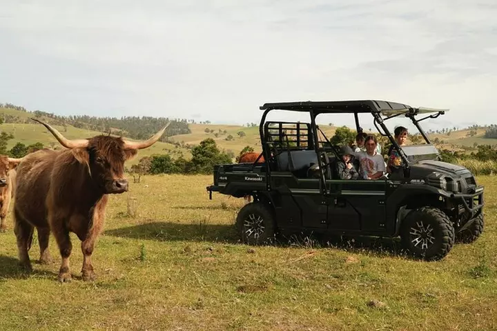 Eventide Sanctuary Farm Tours and Richmond Old Town - Primary Image