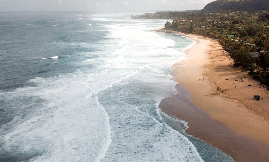 Image 8: Australia: Coffs Harbour Beach Horse Ride & Lagoon Swim + Photos