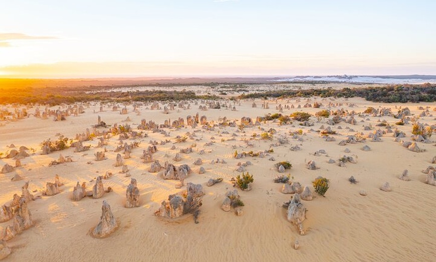 Image 4: Pinnacles Desert Lobster Tour from Perth