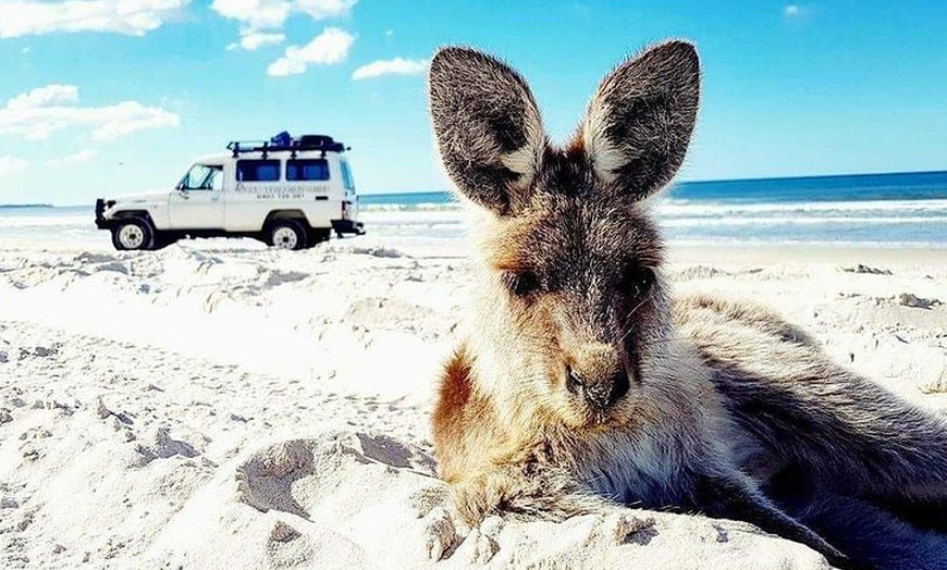 Image 4: Brisbane day trip to Bribie Island
