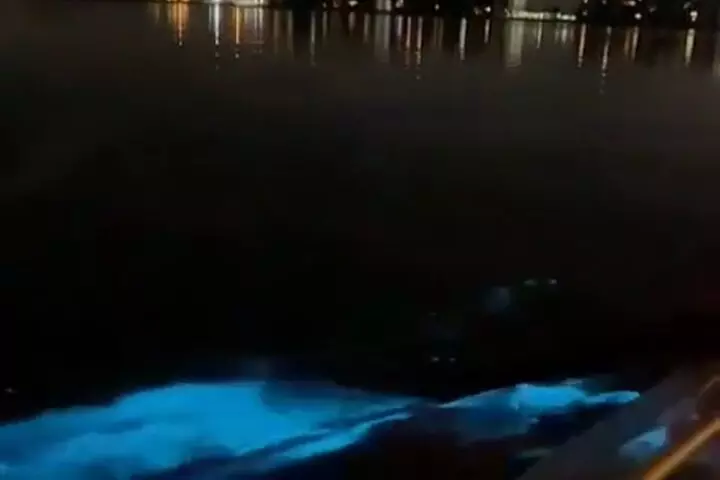 Florida Bioluminescence Clear Kayak tour/ Beacon 42 (Titusville)