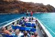 Turtle Reef Snorkel - Second Medium