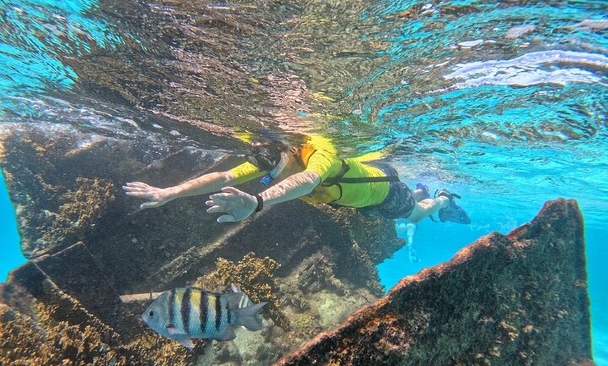 Image 4: Snorkel Adventure in Cancun
