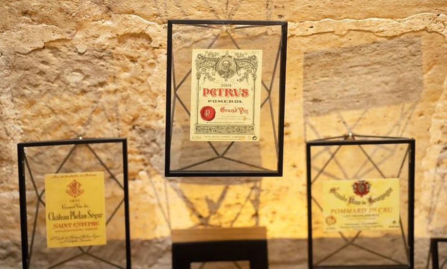 Image 6: Visite guidée et dégustation de vins dans une cave à vin royale à P...