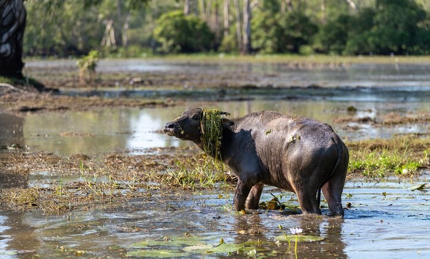 Image 9: 2 Days Kakadu and Gunlom Falls Tour