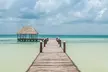 The Best of Holbox Bird Island, Passion Island and Yalahau Cenote - Image 2