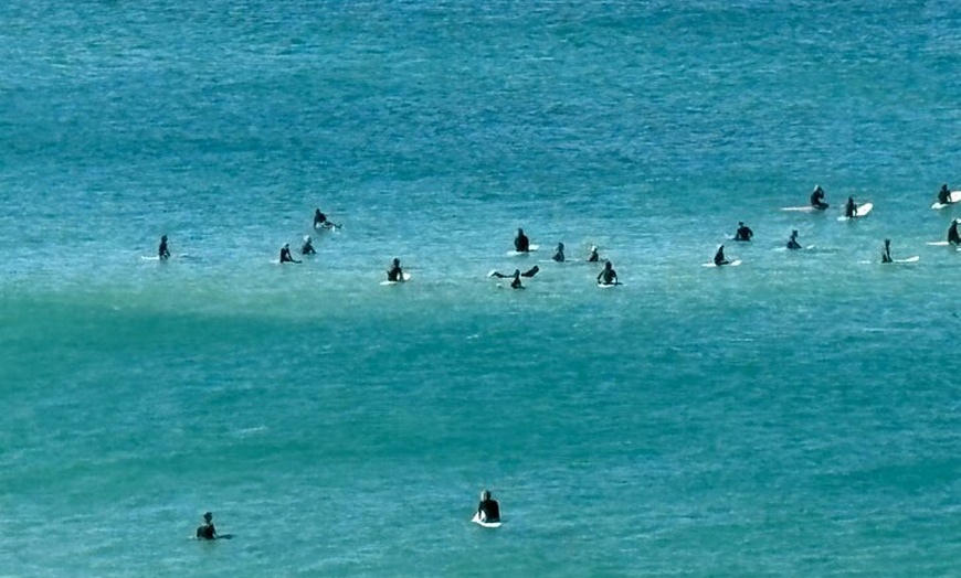 Image 12: Sydney Full Day Private City Harbour Coastal Adventure
