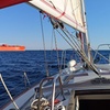 Image 7: Tour privado en velero con aperitivo en Barcelona