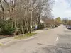 Parking at Forest Lot