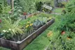 $25 For $50 Worth Plants - Second Medium