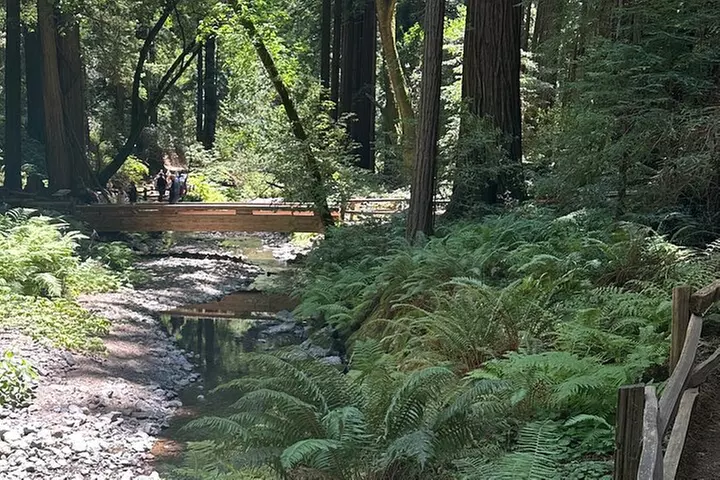 Muir Woods and Sausalito Tour 5 Hours of Natural Beauty