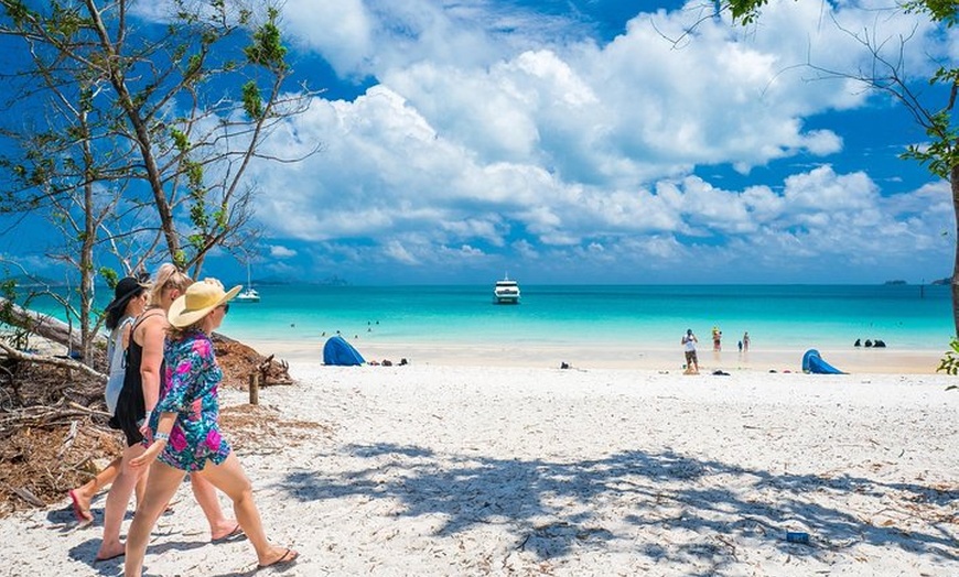 Image 5: Whitehaven Beach Morning or Afternoon Tour