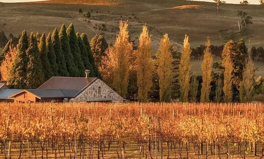 Image 3: From Sydney Private Tour of Waterfalls Wineries and Wildlife