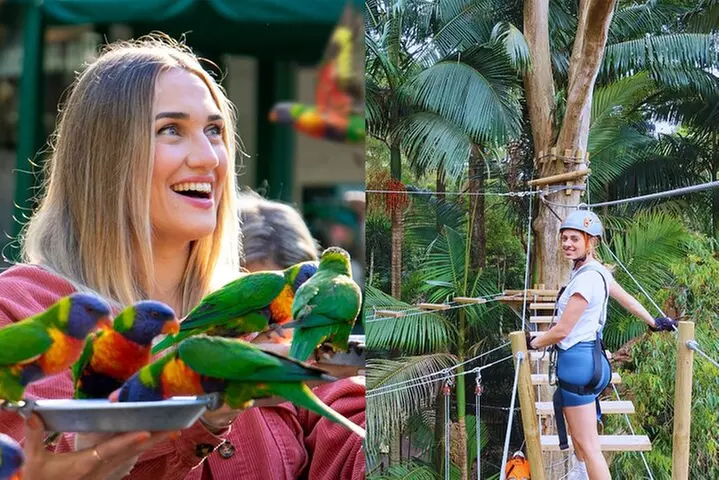Currumbin Wildlife Sanctuary Pass + The Treetop Challenge - Primary Image