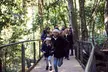 Blue Mountains Half Day Experience with Scenic World and Lookouts - Image 6
