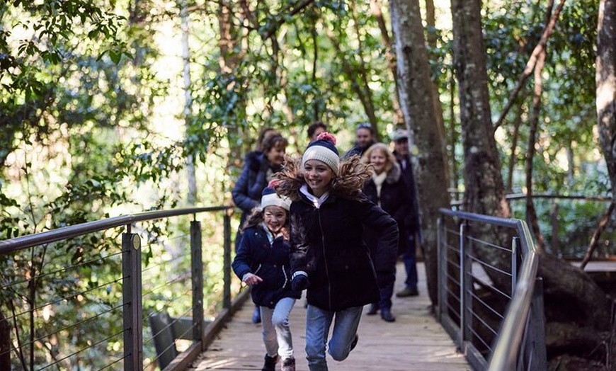 Image 6: Blue Mountains Half Day Experience with Scenic World and Lookouts