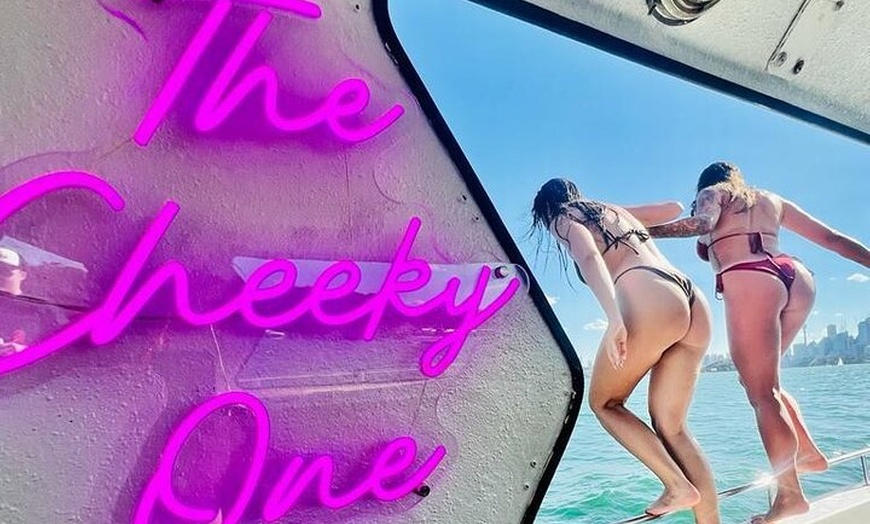 Image 2: Sydney Harbour BBQ Sunset Cruise with Swim and Water Toys