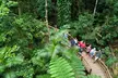 3 Day Reef Cruise, 4WD Rainforest and Outback Chillagoe Package - Image 6
