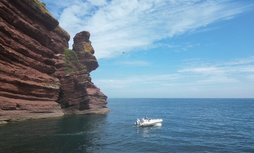 Image 17: Luxury Costal Rib Tour to Babbacombe Bay from Exmouth Marina