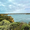 Image 6: Scenic Great Ocean Road Discovery Tour - Iconic Coastal Wonders