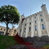 Image 1: Private Tour: The Iconic Tower of London