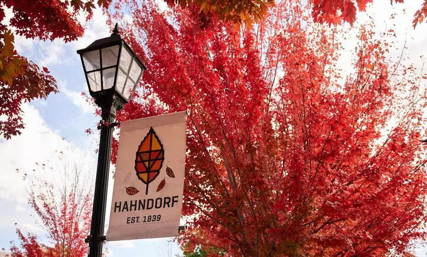 Image 6: Adelaide Highlights, Hahndorf & McLaren Vale Wine Tasting and Sight...